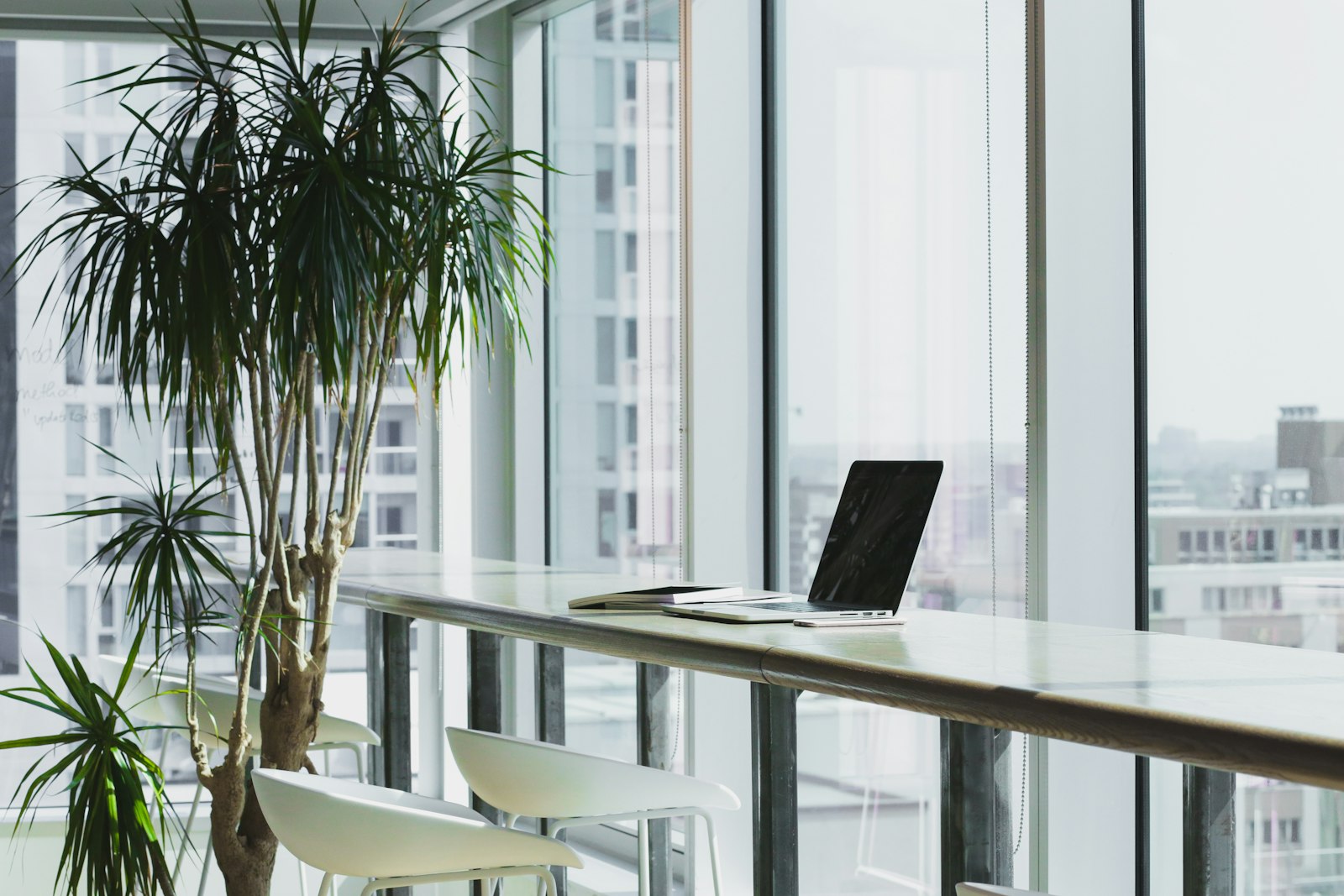 Bashwara Corporate Headquarters Lobby